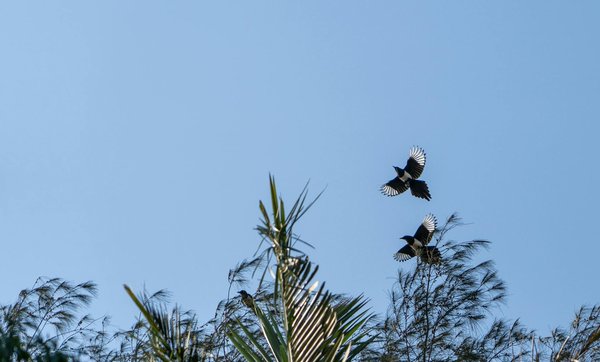 Ce à quoi s'attendre lors de la première visite de votre bébé chez le pédiatre